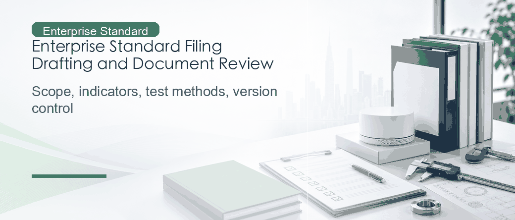 Enterprise Standard Filing: Product Standard Drafting, Disclosure, and Document Review