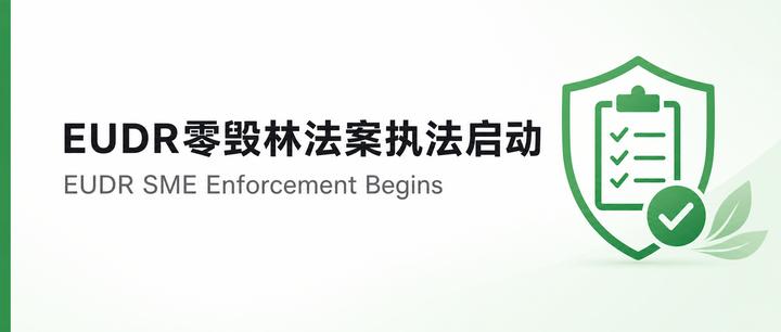 EUDR 零毁林法案 SME 执法过渡期启动：Amazon 卖家12月大限前的合规检查清单